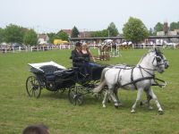 IMG_0416.jpg